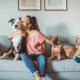 Best Pet Products Worth Shipping with PostFromUS