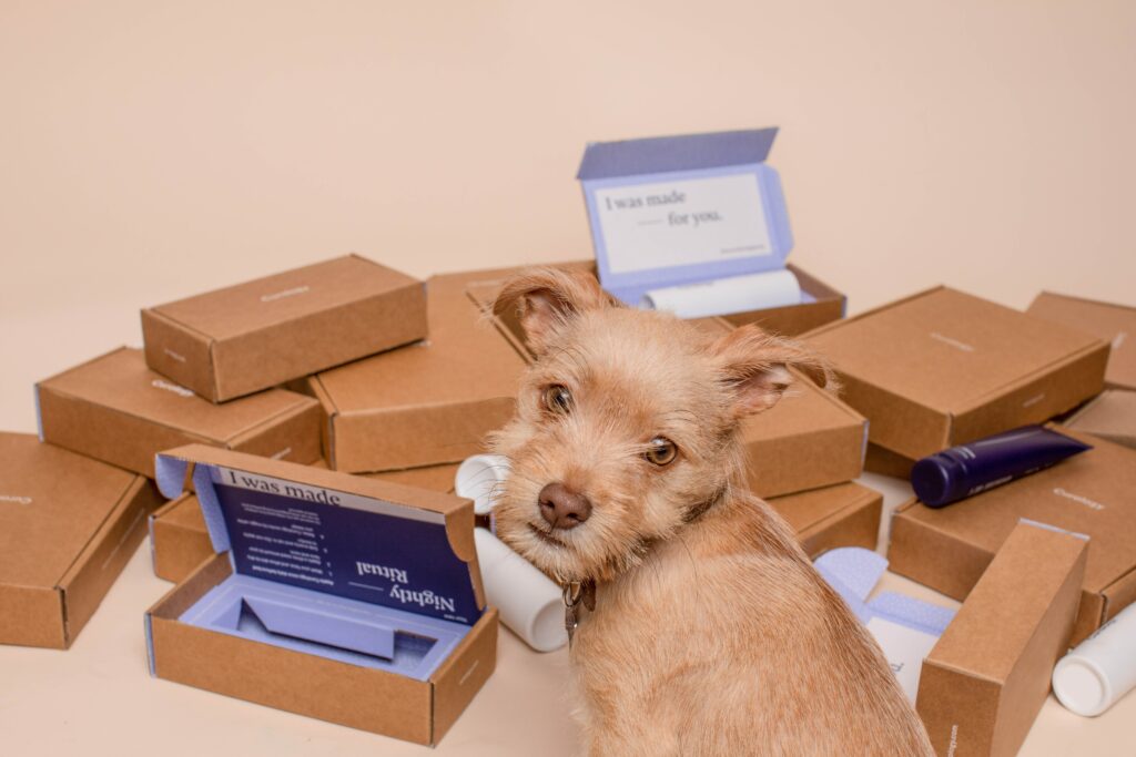 A puppy sits amongst boxes. Two are opened.