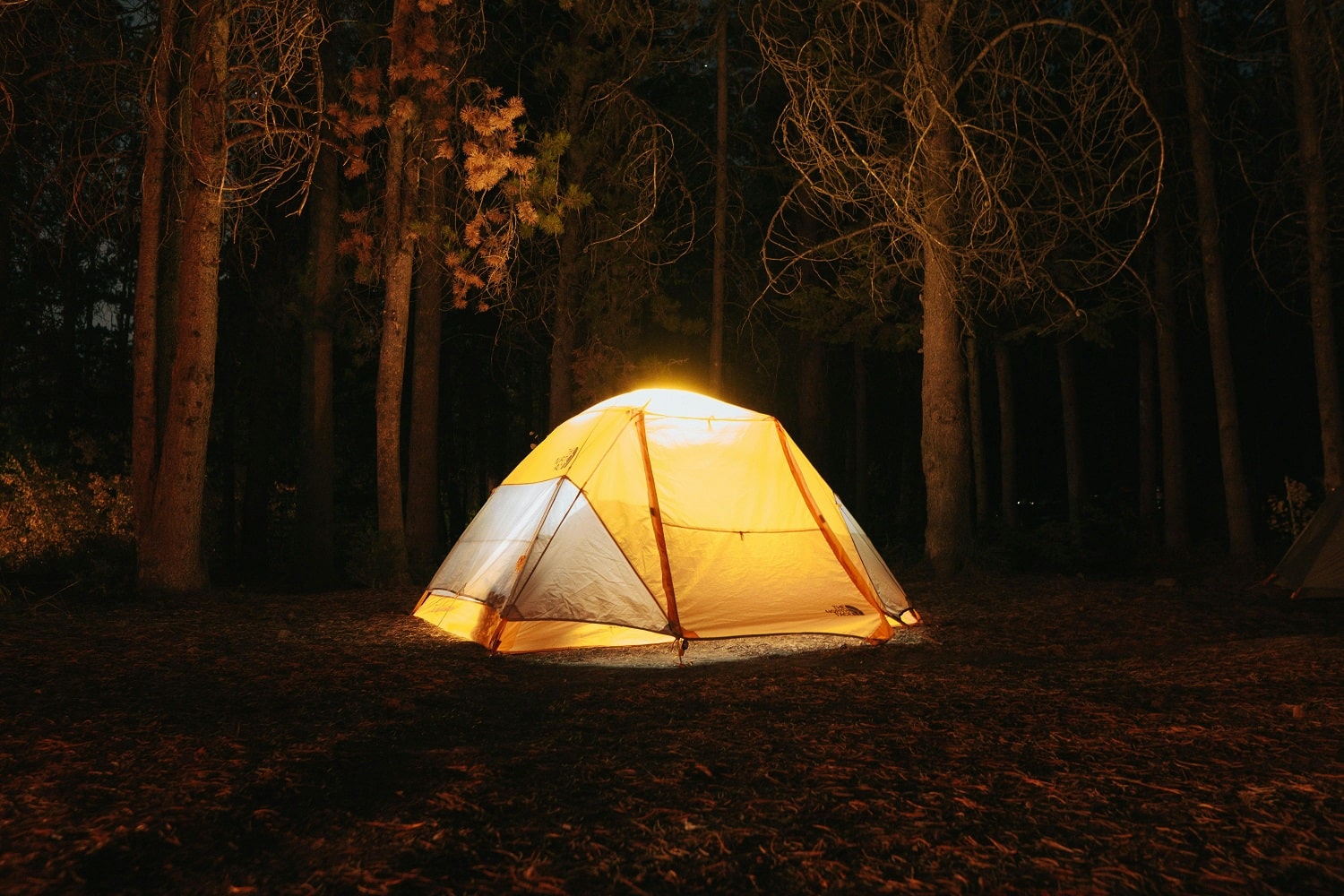 How to Determine Which Tent Size You Need