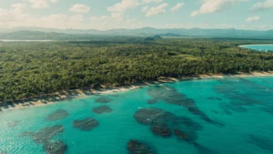 Aerial shot of a turquoise shore and white sand beach, lined by palm trees. Does Amazon Deliver to Dominican Republic? Yes.