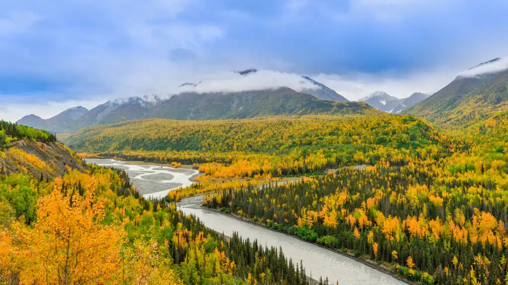 An Alaskan field of wild flowers with a stream running through it and mountains in the background, a blue sky above.